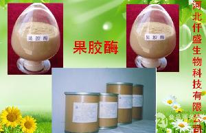 食品行业用纤维素酶供应——高效、安全的全方位解决方案